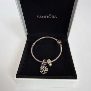 Pandora Heritage Silver Bracelet with Charms Family Precious Boy Family Tree